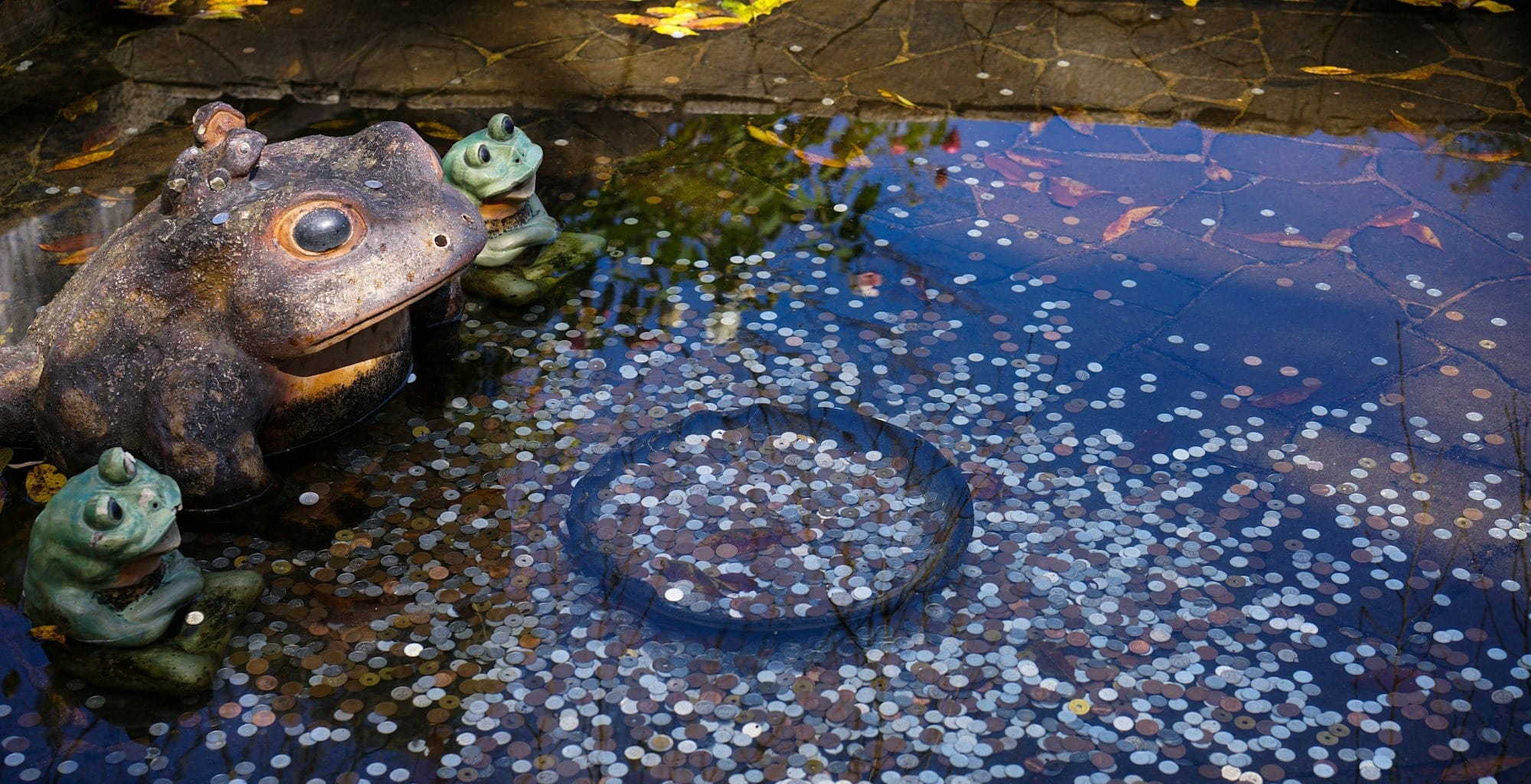 a frog statue sitting on top of a puddle of water